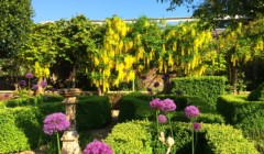 Bignor Park Formal Gardens in bloom