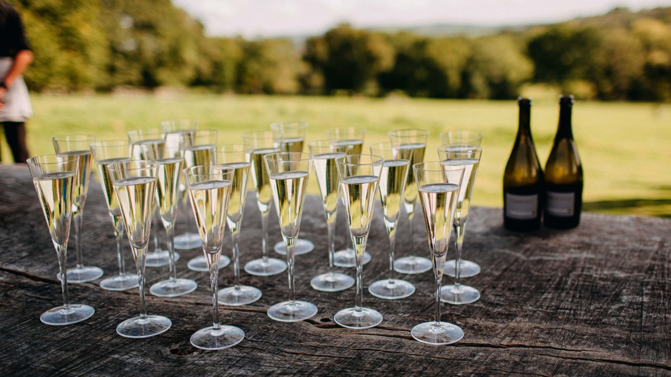 Bignor Park Weddings Champagne reception