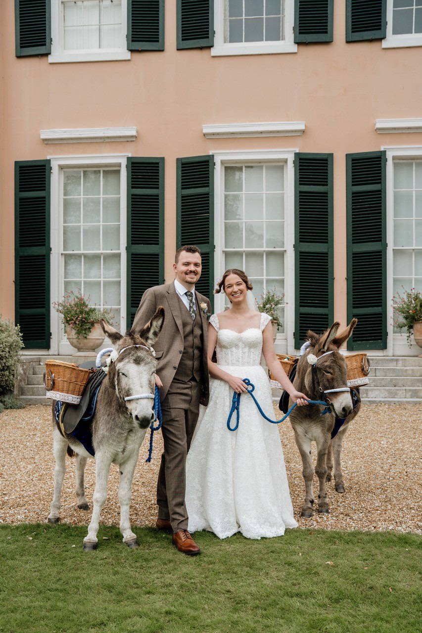 Donkeys guests of bride and groom at Bignor Park wedding, West Sussex